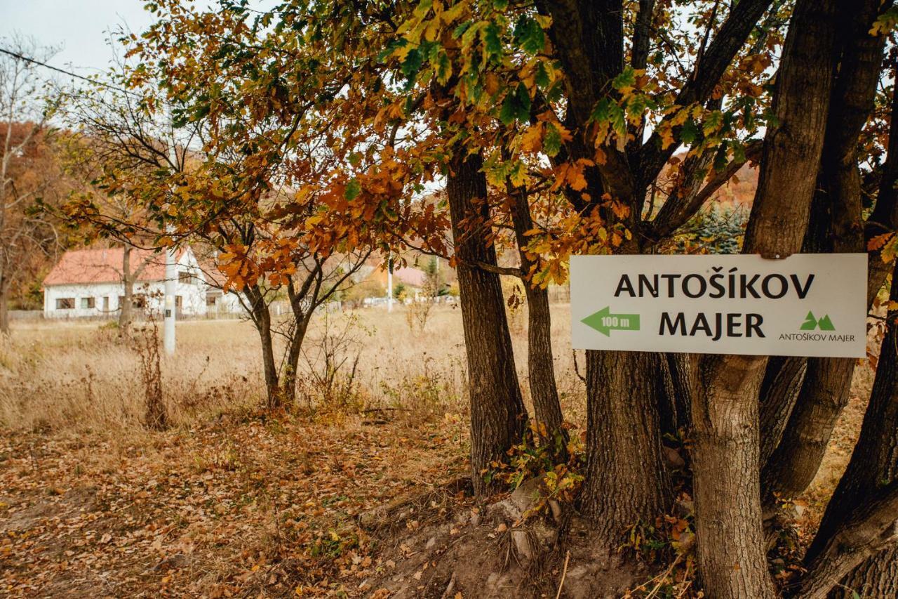 Antosikov Majer Guest House Banská Štiavnica Exterior foto